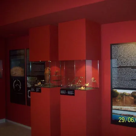 Studio Nestinarka Apartment
