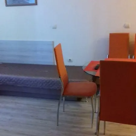 Apartment Studio Nestinarka